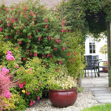 Bed and Breakfast Almanii Dublin Exteriér fotografie