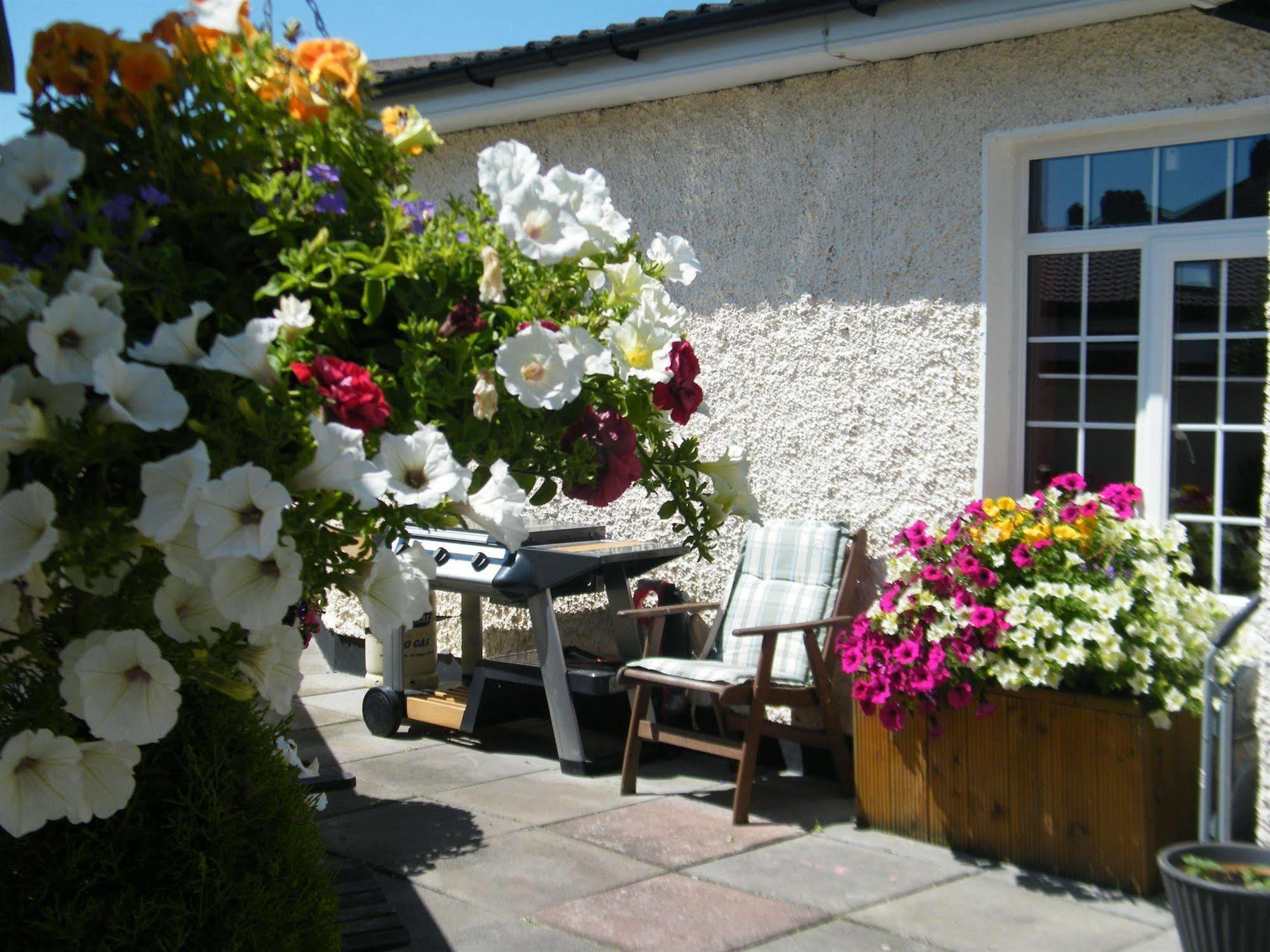 Bed and Breakfast Almanii Dublin Exteriér fotografie