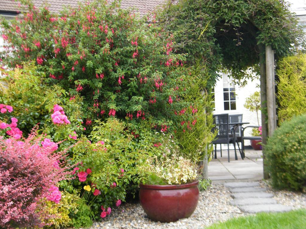 Bed and Breakfast Almanii Dublin Exteriér fotografie